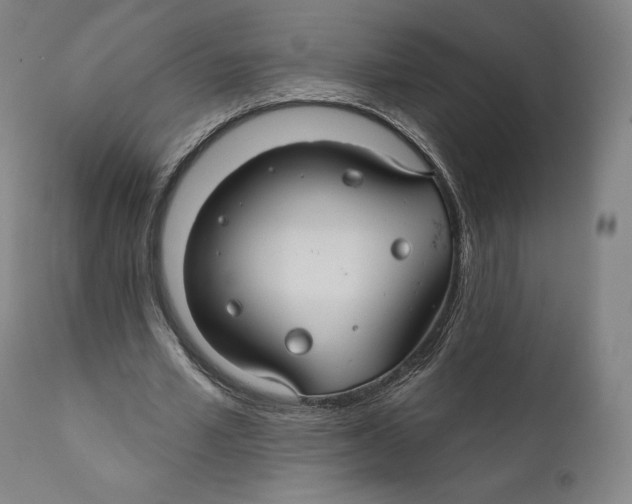 X0000110700581200907101223