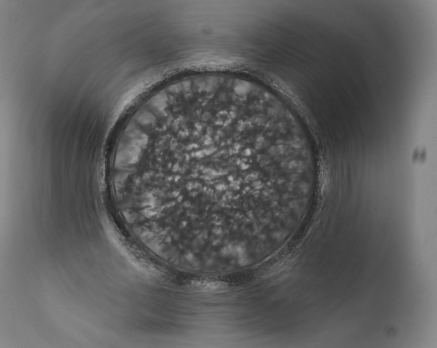 X0000110700582200907101223