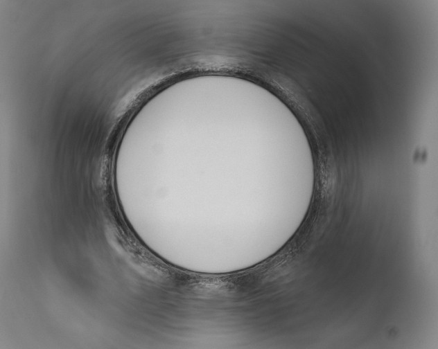 X0000110700583200907101223