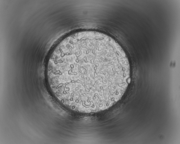 X0000110700584200907101223
