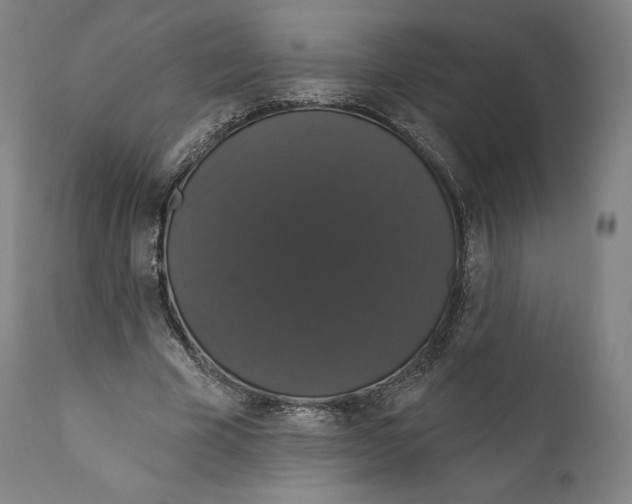 X0000110700585200907101223