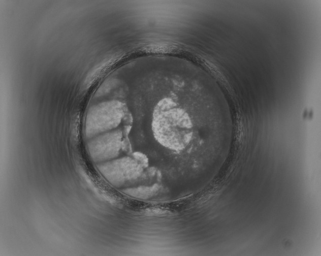 X0000110700586200907101223