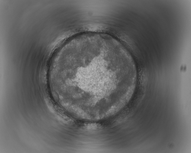 X0000110700587200907101223