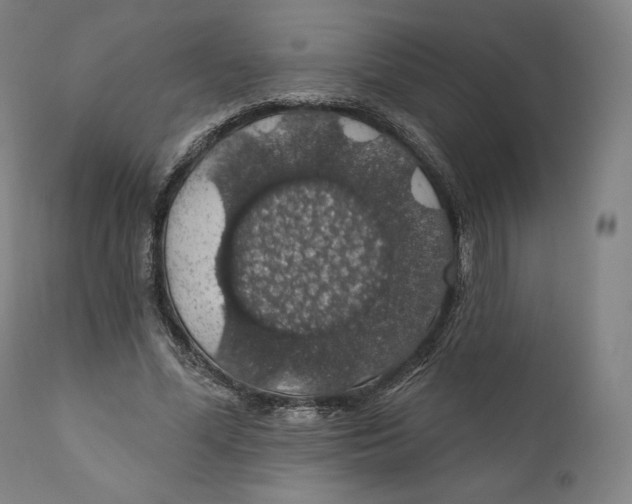 X0000110700588200907101223