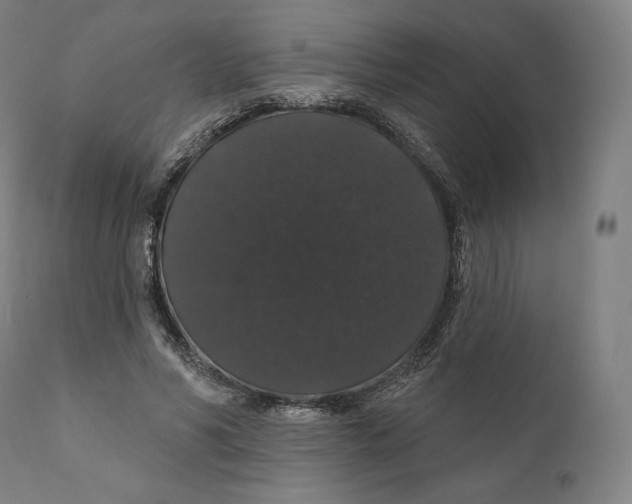 X0000110700590200907101223