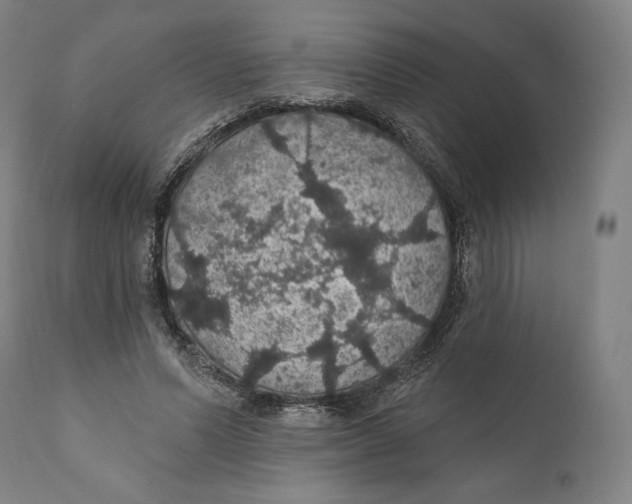 X0000110700591200907101223