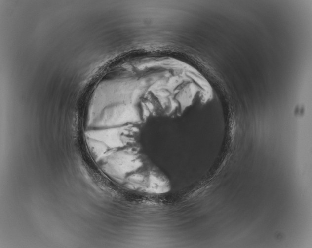 X0000110700592200907101223