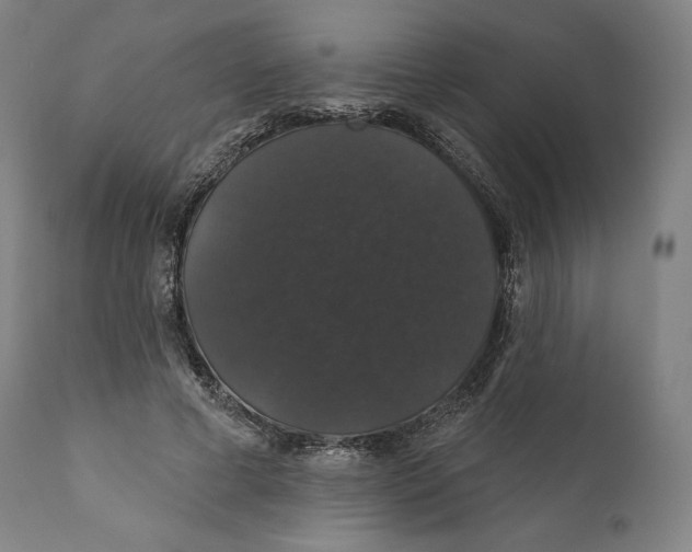X0000110700593200907101223
