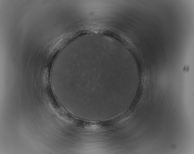 X0000110700594200907101223