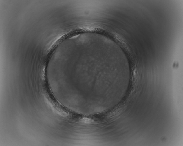 X0000110700596200907101223