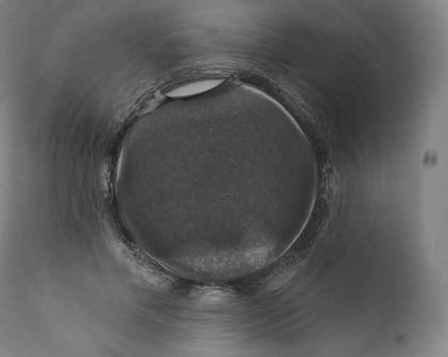X0000110700597200907101222