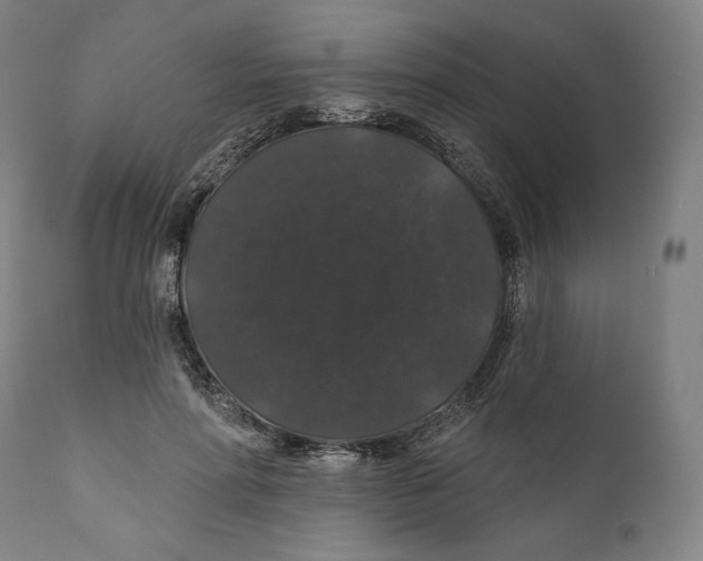 X0000110700598200907101222