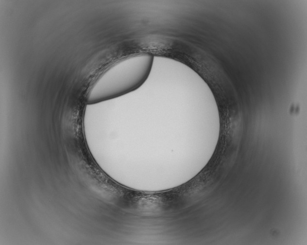 X0000110700599200907101222