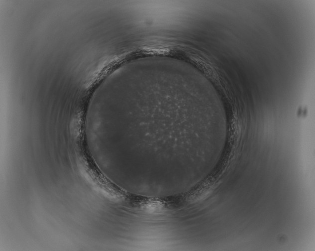 X0000110700600200907101222