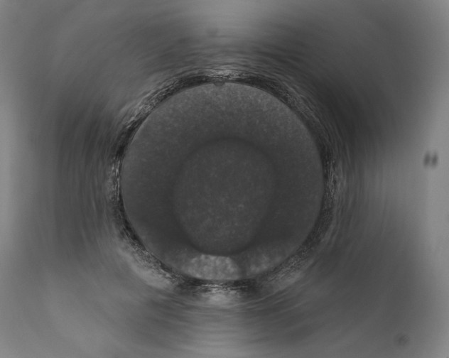 X0000110700601200907101222