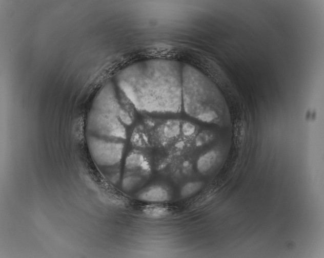 X0000110700602200907101222