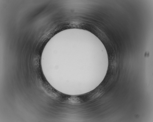 X0000110700603200907101222