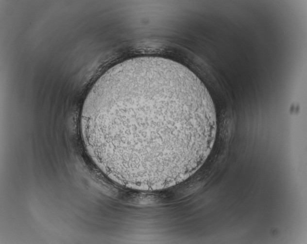X0000110700604200907101222