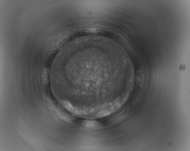 X0000110700605200907101222
