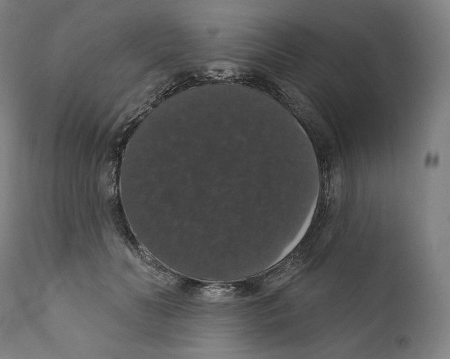 X0000110700606200907101222