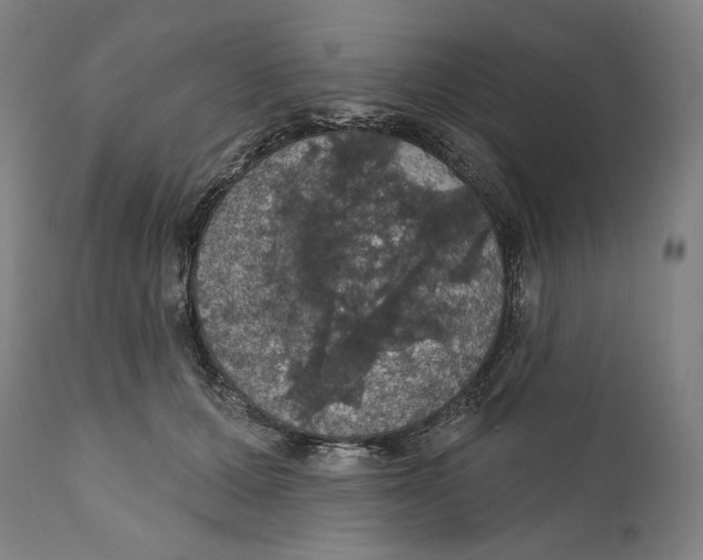 X0000110700607200907101222