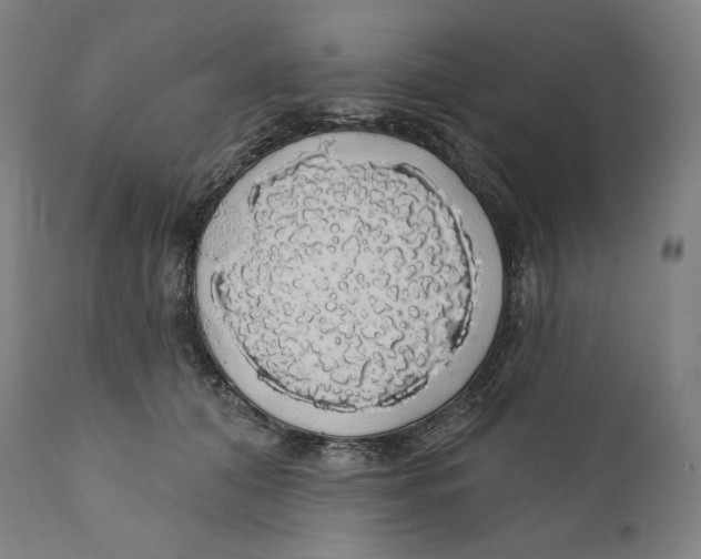 X0000110700608200907101222