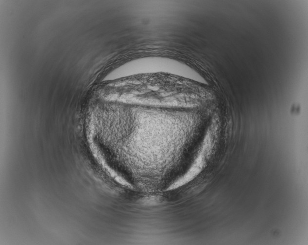 X0000110700609200907101222