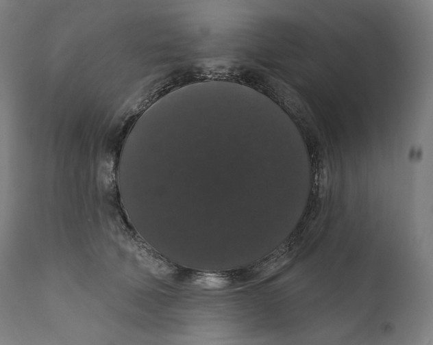 X0000110700610200907101222
