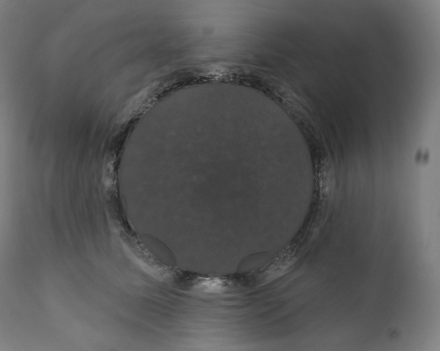X0000110700611200907101222