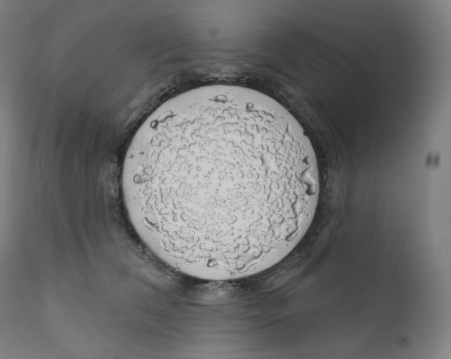 X0000110700612200907101222