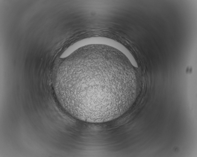 X0000110700613200907101222