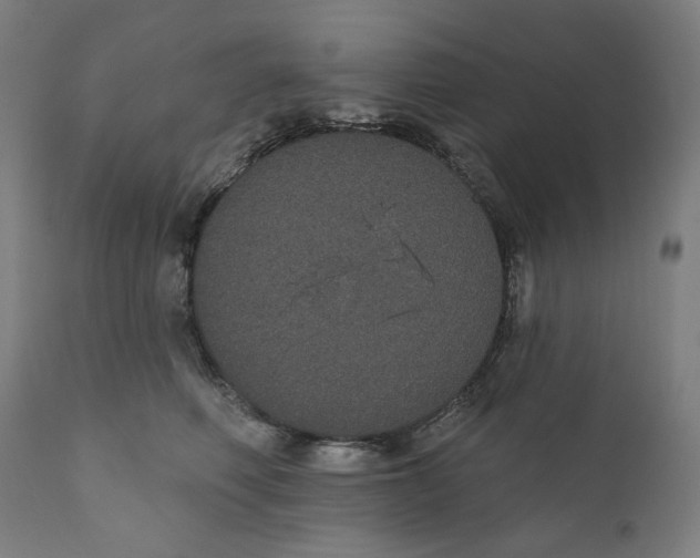 X0000110700614200907101222