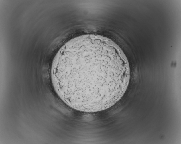 X0000110700616200907101222