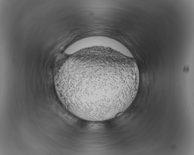 X0000110700617200907101222