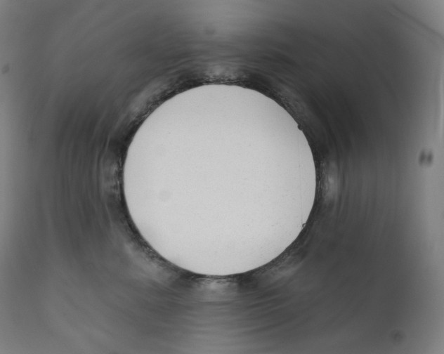 X0000110700619200907101222