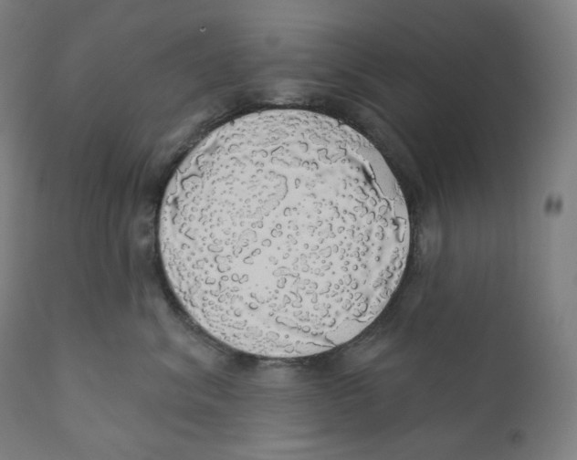 X0000110700620200907101222