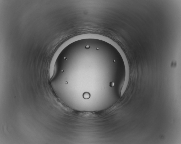 X0000110700621200907101222