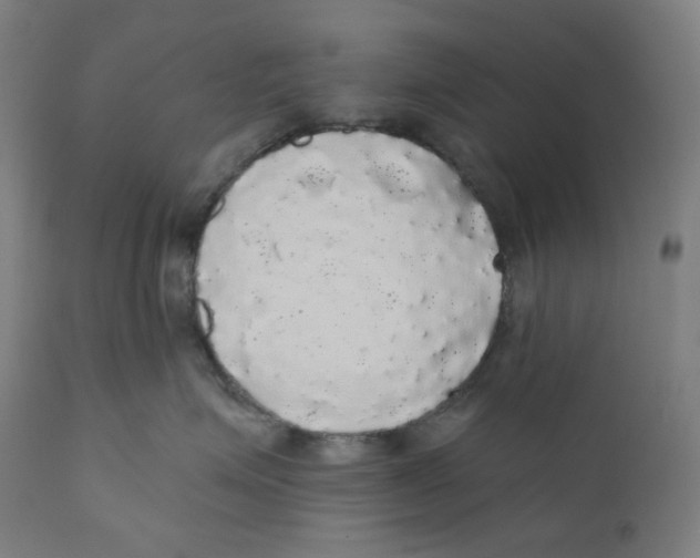 X0000110700623200907101222