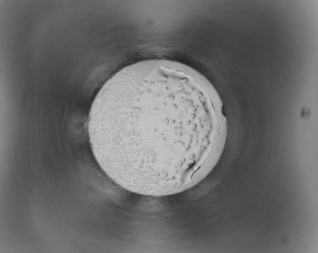 X0000110700624200907101222