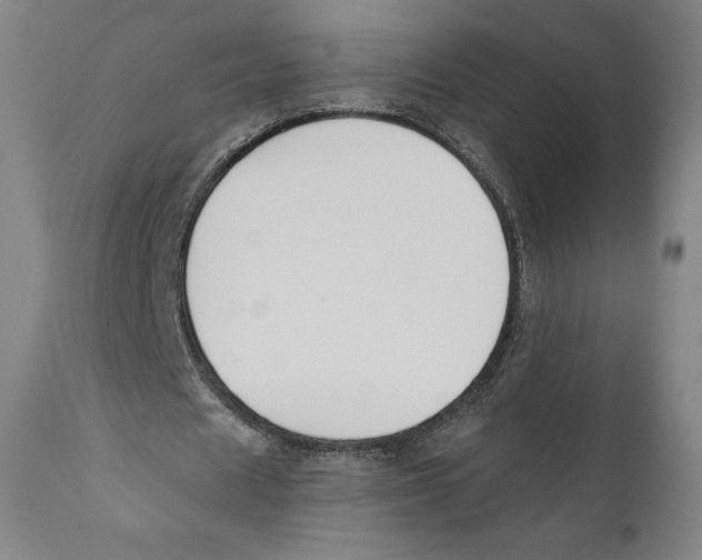X0000110700625200907101221
