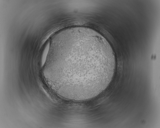 X0000110700626200907101221