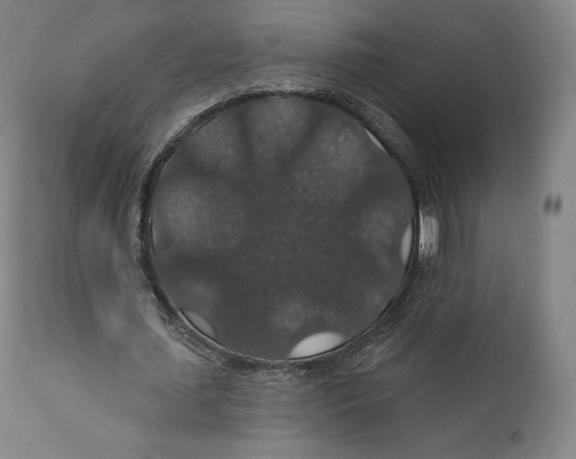X0000110700627200907101221