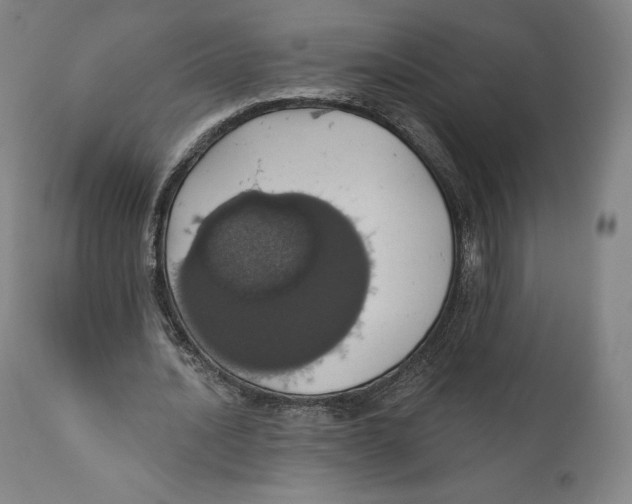 X0000110700628200907101221