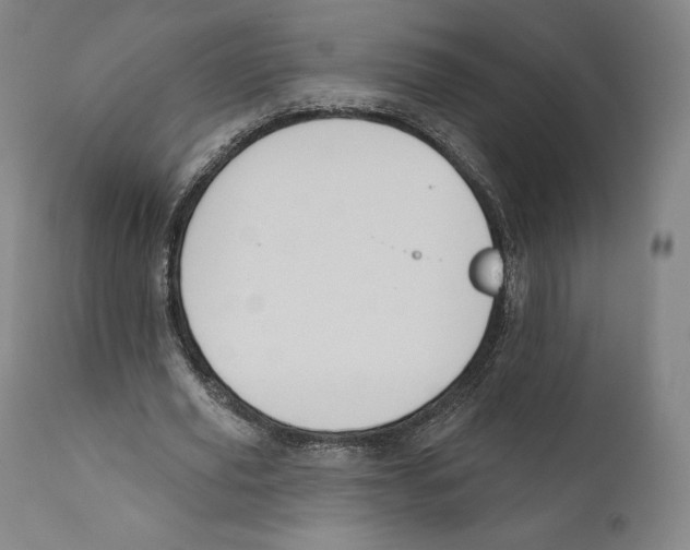 X0000110700629200907101222