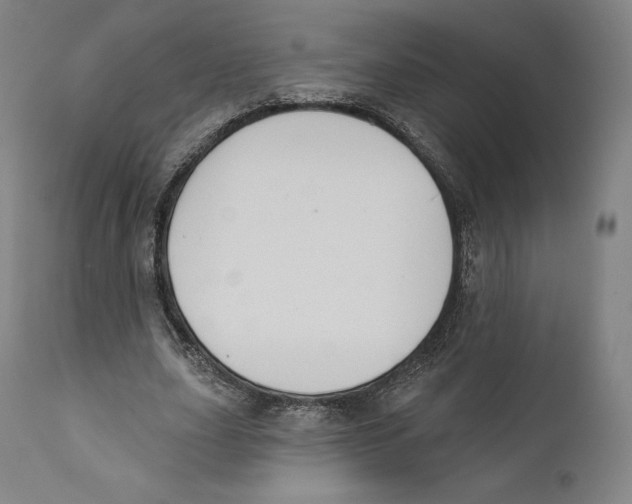 X0000110700631200907101222