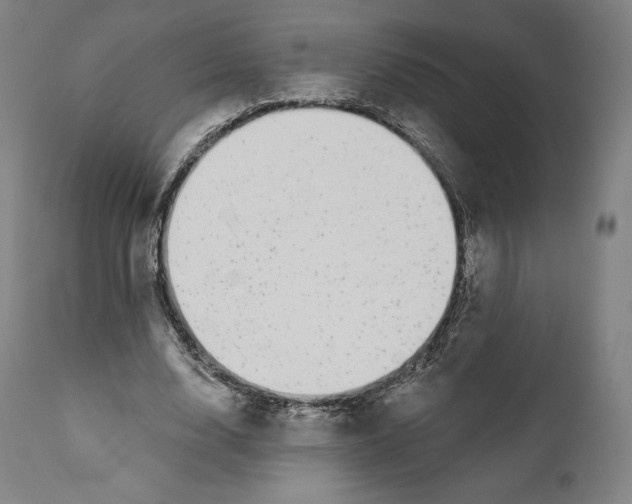 X0000110700632200907101222