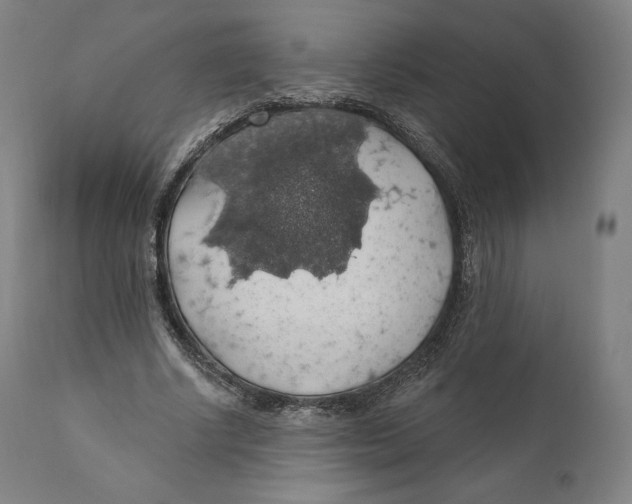 X0000110700634200907101222