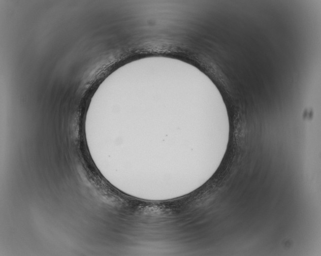 X0000110700635200907101222