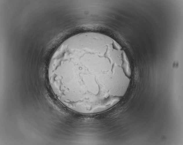 X0000110700637200907101222