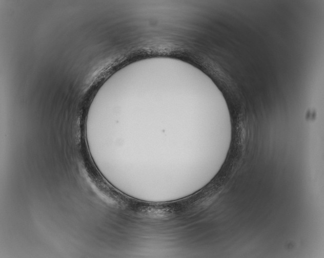 X0000110700638200907101222
